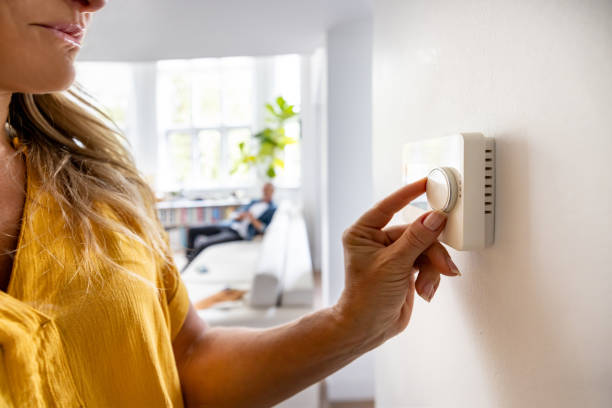 Best Local HVAC Companies  in Rock Valley, IA